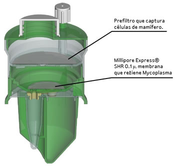millipore_22.jpg